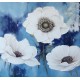 Flor Blanca fondo azul
